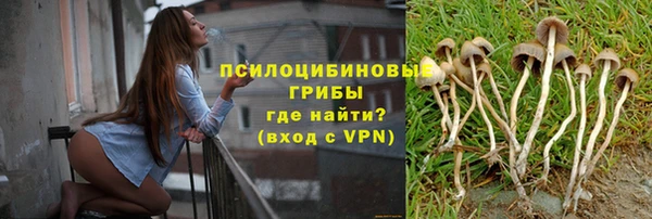 MDMA Premium VHQ Козловка