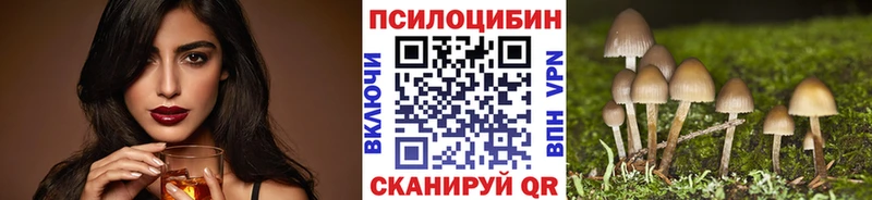 Псилоцибиновые грибы Magic Shrooms  Купить где  Кудымкар 